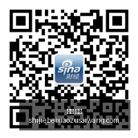 谷歌深夜对,的挑战,低成本策略,中文,官网,官方网站,中文平台,中文娱乐,专属入口